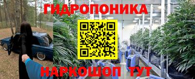 СК Мариинск