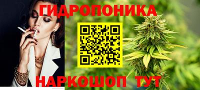 СК Мариинск