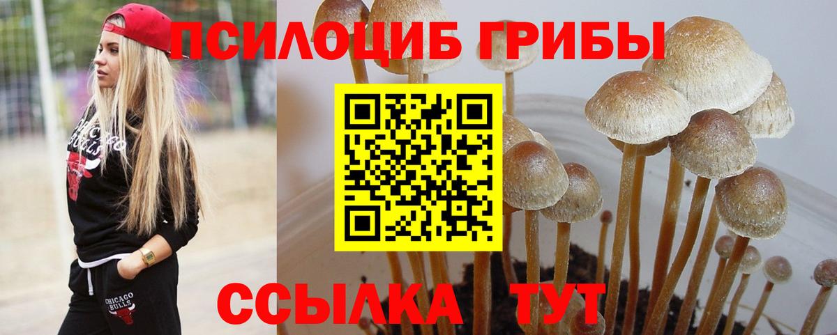 Псилоцибиновые грибы Cubensis  Вход с VPN  Ижевск 
